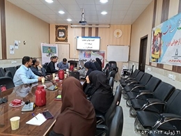 برگزاری جلسات  کمیته جوانی جمعیت در شبکه بهداشت و درمان شهرستان